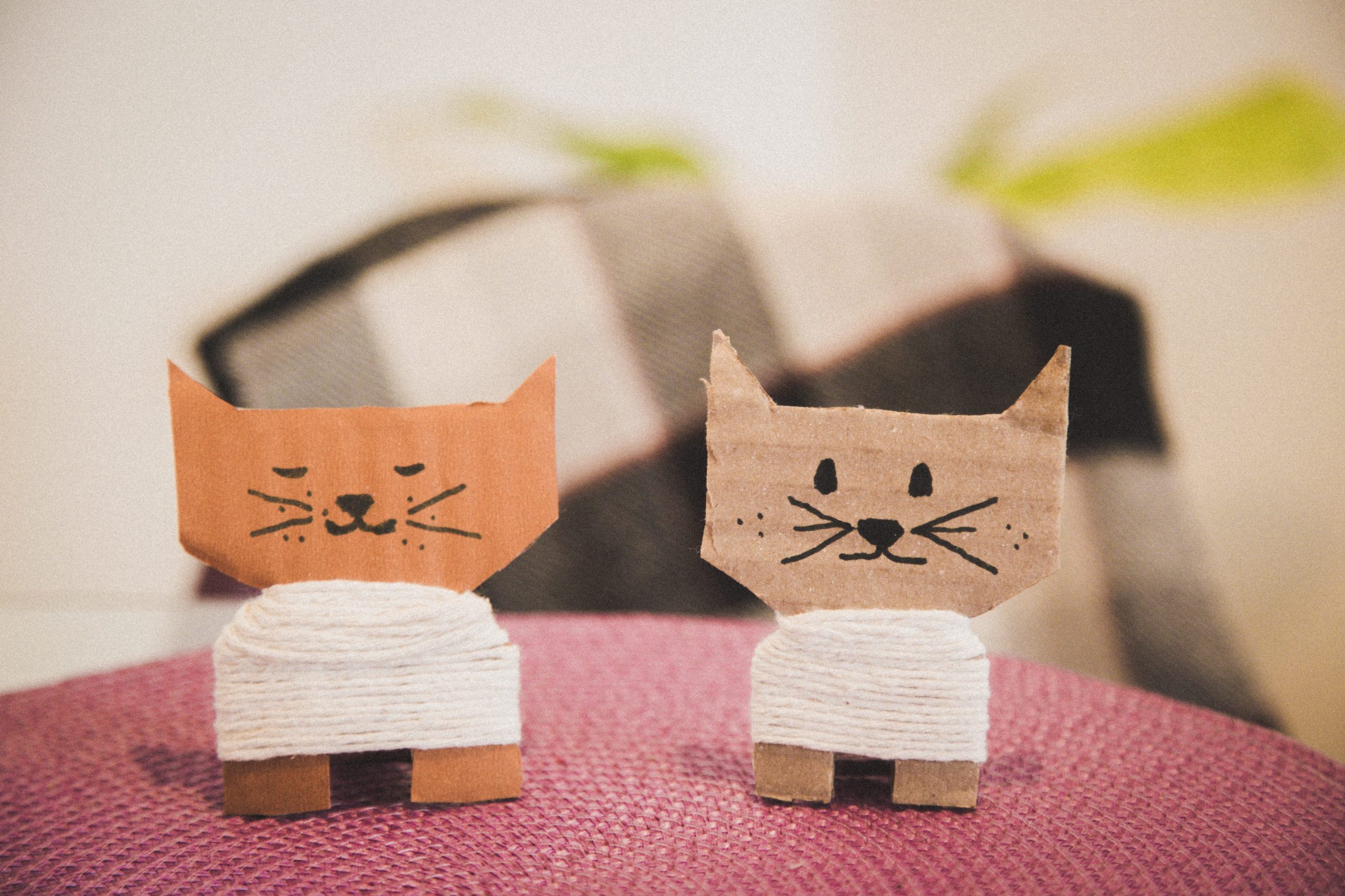 gatinhos de papelão